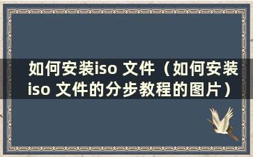 如何安装iso 文件（如何安装iso 文件的分步教程的图片）